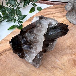Double Sided Smoky Quartz | Various Pointed Cluster | Grounding Stone